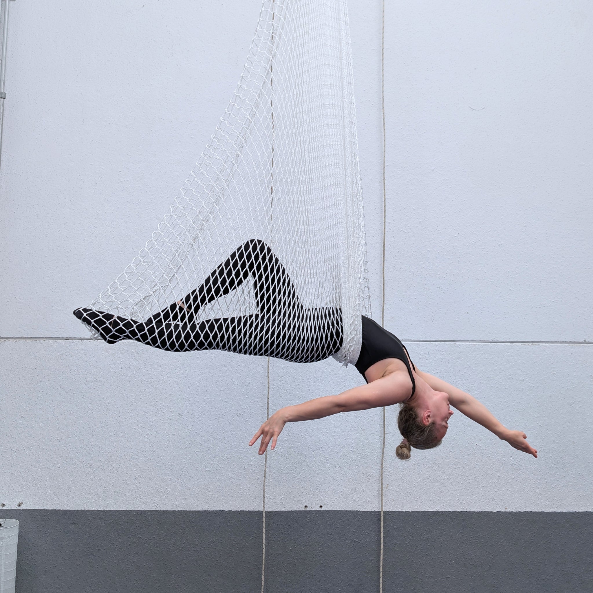 Circus-Aerial-Net